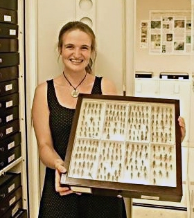 UC Davis alumna Charlotte Alberts of Smithsonian Museum of Natural History studies assassin flies.