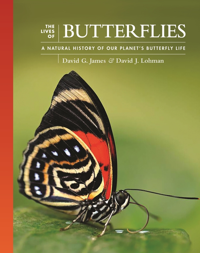 Cover of the David James-David Lohman book, 