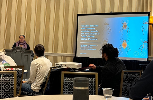 UC Davis doctoral student Iris Quayle delivering her presentation at the Entomological Society of America meeting. She won the President's Prize, or first place, in her category. (Photo by Emma Jochim)