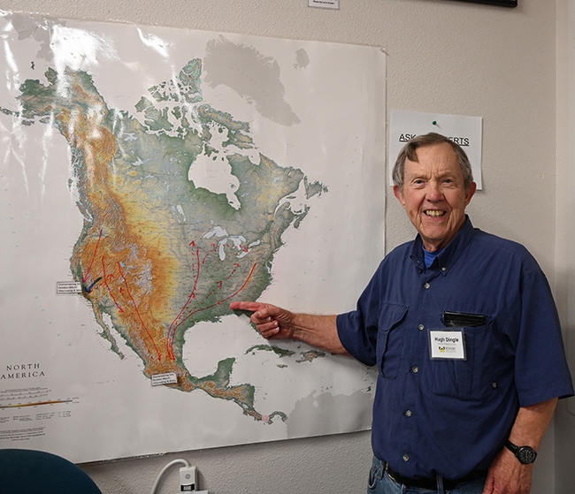 UC Davis emeritus professor Hugh Dingle, a worldwide authority on animal migration, including monarchs, displays a monarch migratory map. (Photo by Kathy Keatley Garvey)
