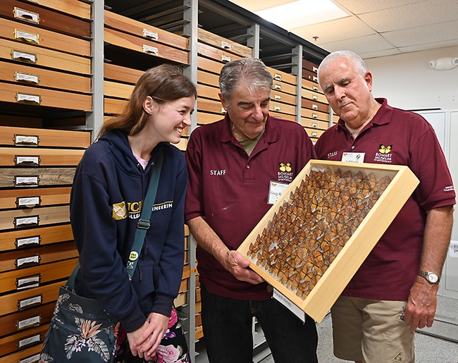 Catherine Tate, a fourth-year UC Davis student  majoring in chemical engineering, asks questions of Bohart associates Greg Kareofelas (center) and Jeff Smith, curator of the Lepidoptera collection at the Bohart. (Photo by Kathy Keatley Garvey)