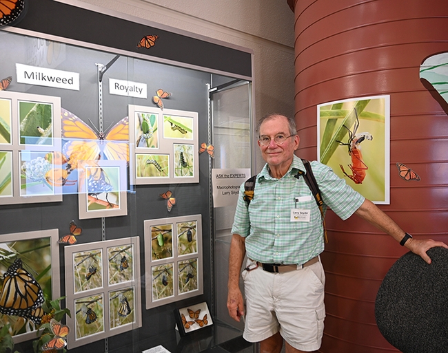 Macro photographer Larry Snyder of Davis answered questions about his monarch display in the hallway of the Academic Surge building. He took images of a monarch-milkweed project organized and led by UC Davis Professor Louie Yang. (Photo by Kathy Keatley Garvey)
