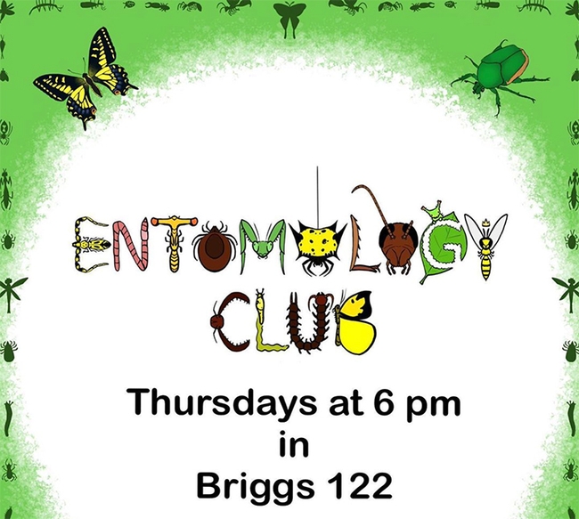 The UC Davis Entomology Club