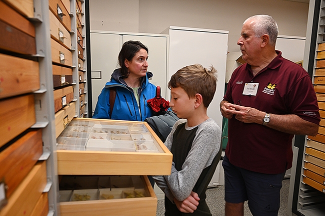 Entomologist Jeff Smith, curator of the lepidoptera collection at the Bohart Museum of Entomology, explains moth specimens to  Katie Dietrich and her son, Andrew, of Davis. (Photo by Kathy Keatley Garvey)