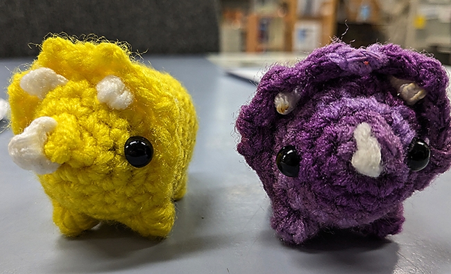 These are two of the crocheted triceratops crafted by UC Davis animal biology major Jakob Lopez. He will hide them on UC Davis Biodiversity Museum Day, set Saturday, Feb. 10.