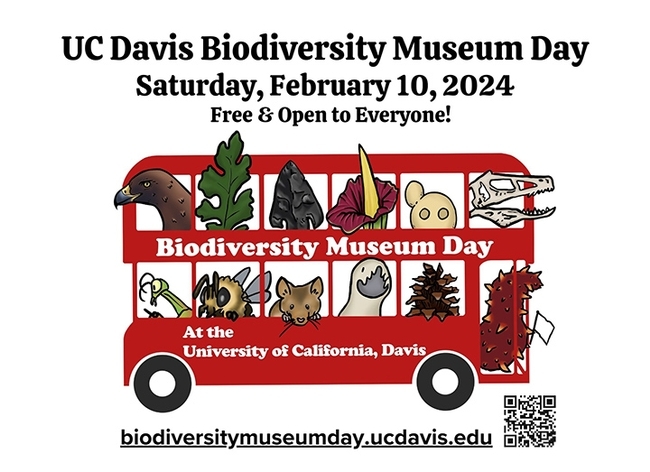 This graphic of a double-decker bus depicts the passengers representing the museums and collections at the UC Davis Biodiversity Museum Day. (Graphic by Ivana Li and Caitlen Comendant)