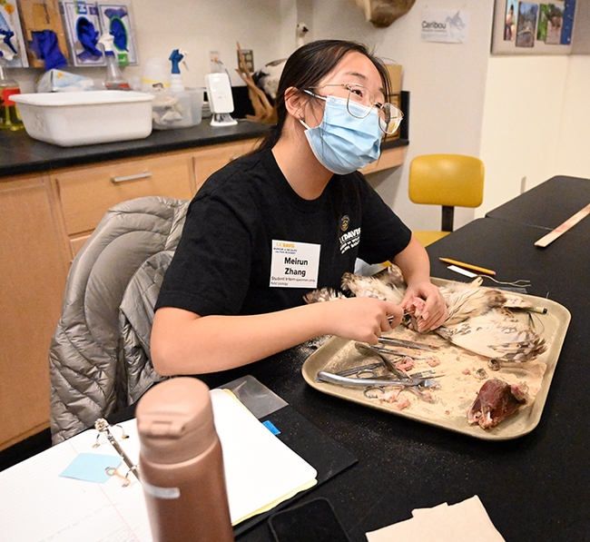 Museum of Wildlife and Fish Biology. Vistiors will see how a carcass becomes a catalogued specimen. (Photo by Kathy Keatley Garvey)