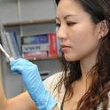Molecular geneticist-physiologist Joanna Chiu working in her lab in 2010, shortly after her arrival at UC Davis. (Photo by Kathy Keatley Garvey)