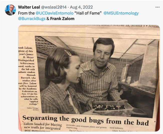 UC Davis distinguished professor Walter Leal, former professor and chair of the Department of Entomology, shared this archived news story about Frank Zalom and graduate student Hannah Burrack on X (formerly Twitter). (Screen shot)