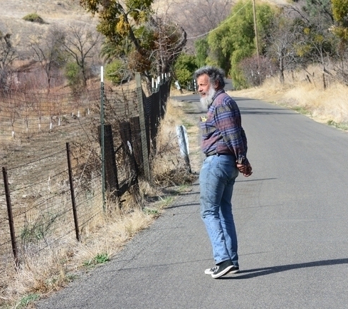 UC Davis distingished professor (now emeritus) monitoring butterfly populations in Gates Canyon, Vacaville, in 2014. (Photo by Kathy Keatley Garvey)