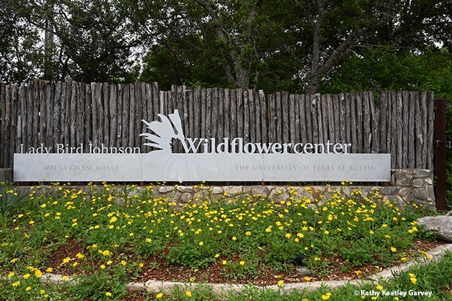 Signage at the 284-acre Lady Bird Johnson Wildflower Center at the University of Texas, Austin, welcomes visitors. (Photo by Kathy Keatley Garvey)