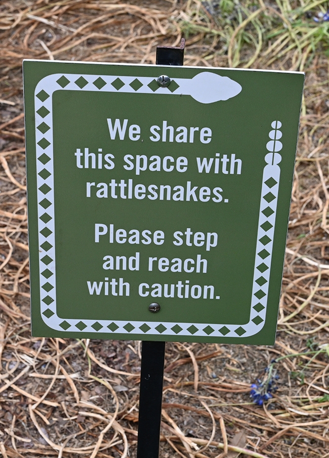 A sign warns of rattlesnakes. (Photo by Kathy Keatley Garvey)