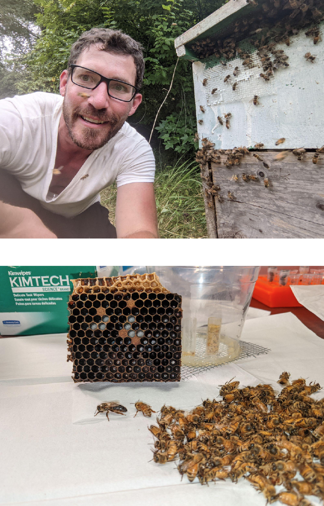 Honey bee scientist Zac Lamas will present an April 15 seminar hosted by the UC Davis Department of Entomology and Nematology.