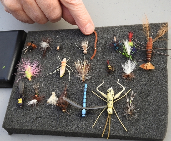 A display by the Fly Fishers of Davis at a recent UC Davis Picnic Day. The Fly Fishers are an integral part of the insect activities at Briggs Hall, home of the UC Davis Department of Entomology and Nematology. (Photo by Kathy Keatley Garvey)