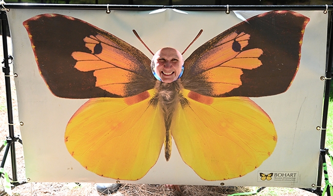 Professor Fran Keller of Folsom Lake College poses with a California dogface butterfly face banner. She is a UC Davis doctoral alumna and a Bohart Museum scientist. (Photo by Kathy Keatley Garvey)