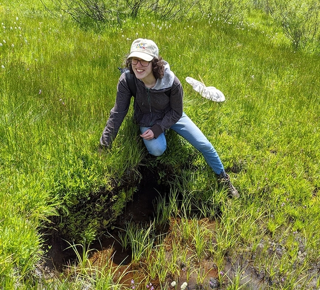 UC Davis doctoral candidate Danielle Rutkowski doing field work.