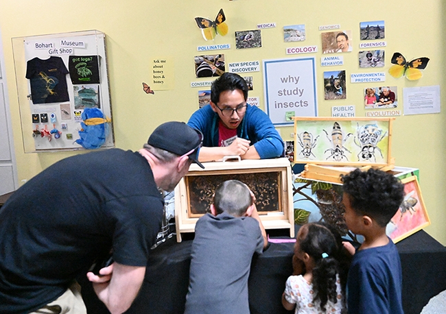 UC Davis entomology graduate student Richard Martinez encourages attendees to find the queen in the bee observation hive. (Photo by Kathy Keatley Garvey)