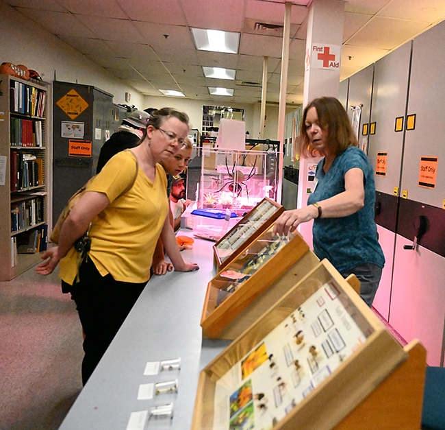 Bohart Museum scientist Sandy Shanks answers a question about wild bees. (Photo by Kathy Keatley Garvey)