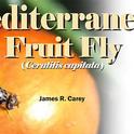 UC Davis distinguished professor James R. Carey has written numerous research articles on the Mediterranean fruit fly.