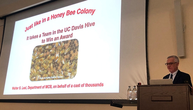 UC Davis distinguished professor Walter Leal delivering his Academic Senate Faculty Distinguished Research Award lecture. (Photo by Kathy Keatley Garvey)