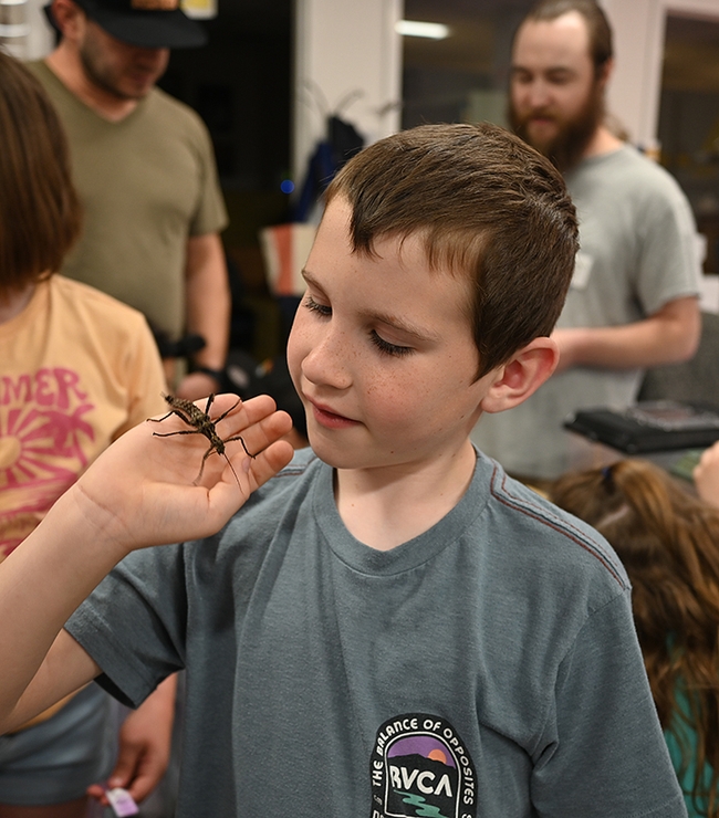 Hunter Baker, 8, delights in holding a stick insect. In back is Bohart collections manager Brennen Dyer. (Photo by Kathy Keatley Garvey)