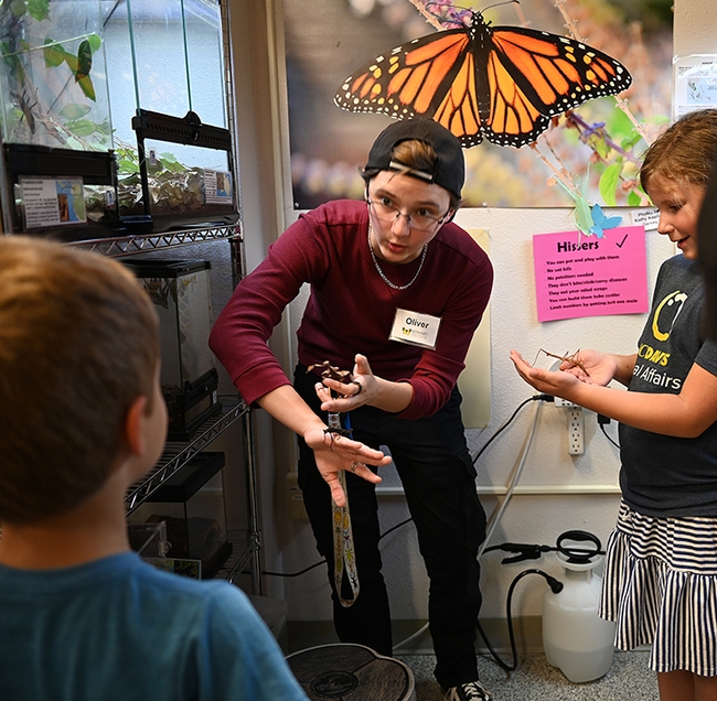 UC Davis entomology major Oliver Smith eagerly shows a stick insect to a youngster. (Photo by Kathy Keatley Garvey)