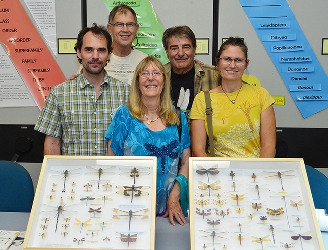 Dragonfly experts participating in a 2015 Bohart Museum of Entomology open house included (front, from left) Andrew Rehn of the California Department of Fish and Wildlife, Kathy Biggs, author of dragonfly books, and Sandra von Arb, then a senior biologist at the Pacific Northwestern Biological Resources, McKinleyville, Calif. In back are Rosser Garrison (left), now retired from the California Department of Food and Agriculture, and Bohart associate Greg Kareofelas.