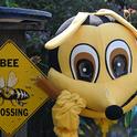 At the Vacaville Museum Children's Party on Aug. 8, a walk-around Queen Bee (costume from the UC Davis-based California Master Beekeeper Program) will hand out  honey sticks donated by Z Specialty Food, Woodland. (Photo by Kathy Keatley Garvey)