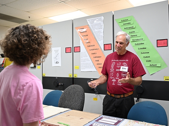 Bohart Museum associate Michael  Pitcairn, retired from the California Department of Food and Agriculture, answers questions about silkworm moths and textiles. (Photo by Kathy Keatley Garvey)