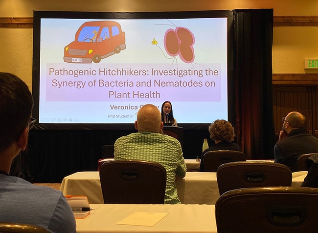 Doctoral student Veronica Casey of the Siddique lab delivering an invited  presentation on “Pathogenic Hitchhikers: Investigating the Synergy of Bacteria and Nematodes on Plant Health.”