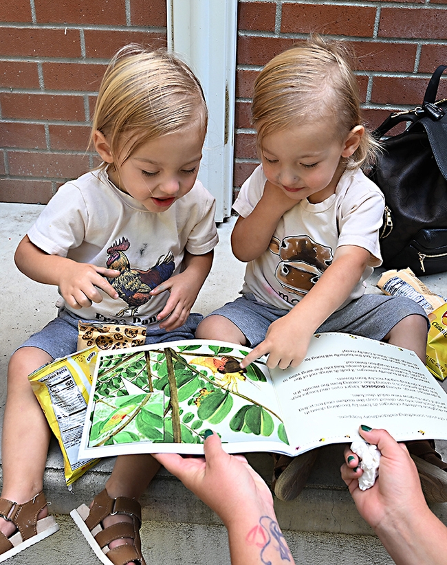 A children's book on the California state insect, the dogface butterfly, draws the interest of twins Ford and Wyatt Devine, 2, of Vacaville.The book was displayed at the Vacaville Museum Guild's Children's Party. (Photo by Kathy Keatley Garvey)