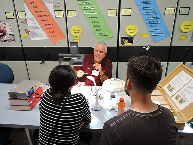 Entomologist Jeff Smith, curator of the Bohart Museum's Lepidoptera collections, shows visitors how to spread the wings of a butterfly. (Photo by Kathy Keatley Garvey)