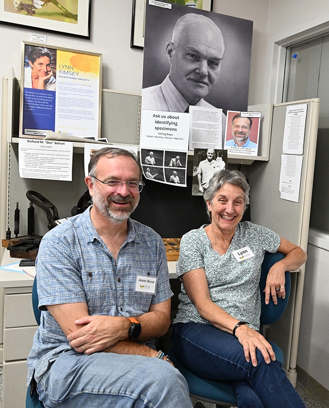 Only three directors have led the Bohart Museum of Entomology since 1946. Pictured are hymenopterist Lynn Kimsey, director from 1990 to Feb. 1, 2024, and arachnologist Jason Bond, director since Feb. 1. The portrait shows Richard 