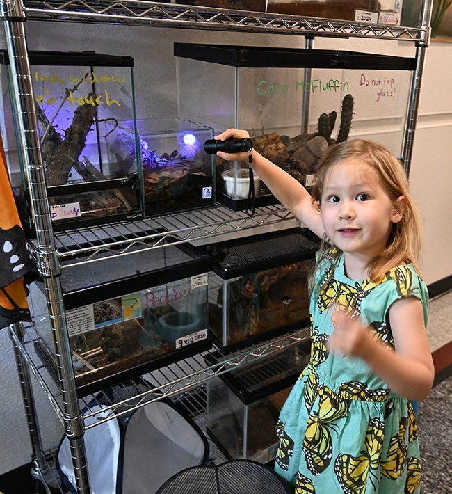 Thea Schmidt, 4, of Folsom points excitedly to the tenants of the live petting zoo at the Bohart Museum of Entomology. (Photo by Kathy Keatley Garvey)