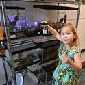 Thea Schmidt, 4, of Folsom points excitedly to the tenants of the live petting zoo at the Bohart Museum of Entomology. (Photo by Kathy Keatley Garvey)