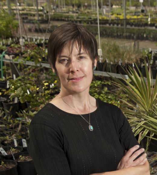 Professor Stacey Harmer of UC Davis College of Biological Sciences