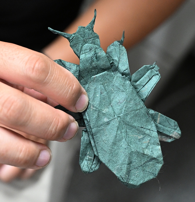 An intricate origami of a leaf insect by UC Davis alumnus Kevin Murakoshi of Davis. (Photo by Kathy Keatley Garvey)