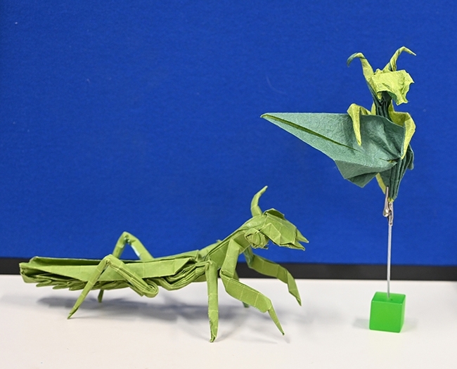 Kevin Murakoshi created these two praying mantises in origami. (Photo by Kathy Keatley Garvey)