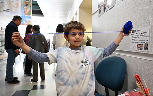 Isaiah Sahakian Frenz stretches the yarn. (Photo by Kathy Keatley Garvey)