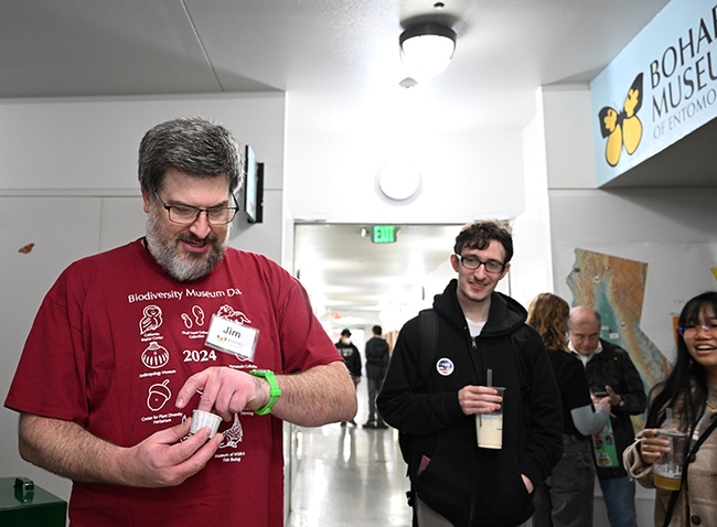 Postdoctoral research scientist James Starrett, of the arachnology lab of Professor Jason Bond, director of the Bohart Museum, gets ready to eat a crickette. (Photo by Kathy Keatley Garvey)