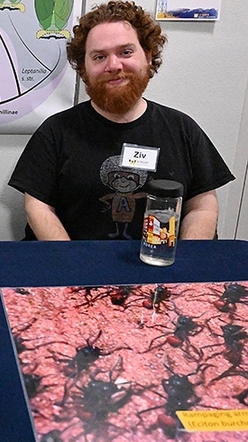 Ant specialist Ziv Lieberman of the Phil Ward lab volunteering at a Bohart Museum of Entomology open house. (Photo by Kathy Keatley Garvey)