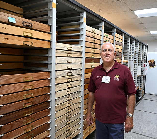 Jeff Smith, curator of the Lepidoptera collection at the Bohart Museum, stands by the drawers he crafted. (Photo by Kathy Keatley Garvey)