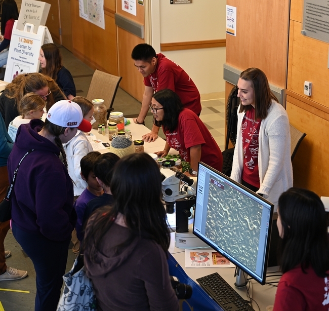 The nematology display, headed by associate professor Shahid Siddique, was a popular attraction at the  13th annual Biodiversity Museum Day, held Feb. 20, 2024. From left are doctoral student Nick Latina and doctoral candidates Pallavi Shakya an Alison Blundell. (Photo by Kathy Keatley Garvey)