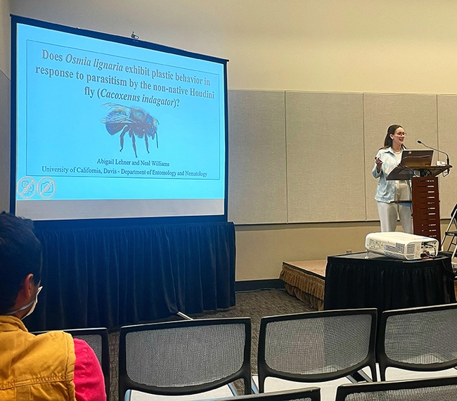 UC Davis doctoral student Abigail Lehner of the Neal Williams lab discussing 