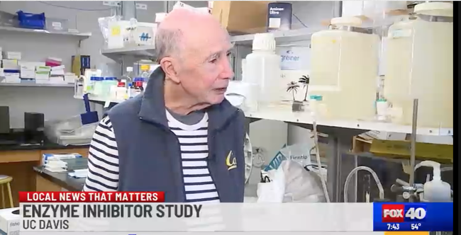 UC Davis distinguished professor Bruce Hammock is interviewed by Juliette Smith of Fox40 News. (Screen shot of Hammock in his lab, courtesy of Fox40 News)