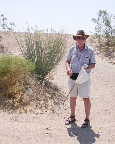 Bohart Museum research entomologist Thomas 