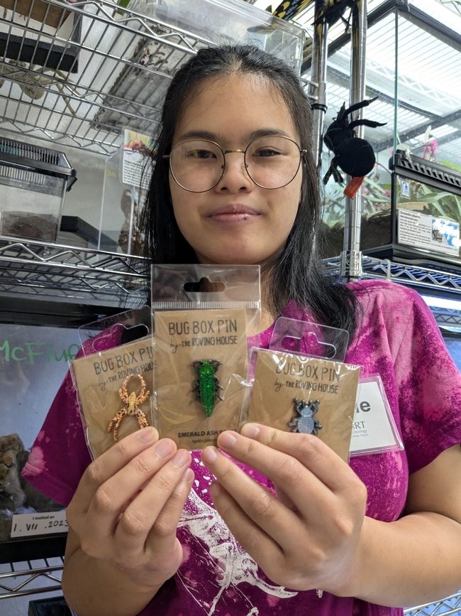 Bohart Museum of Entomology student intern Jasmine Chow holds a selection of bug pins available in the museum's gift shop.