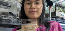 Bohart Museum of Entomology student intern Jasmine Chow holds a selection of bug pins available in the museum's gift shop. for Bug Squad Blog