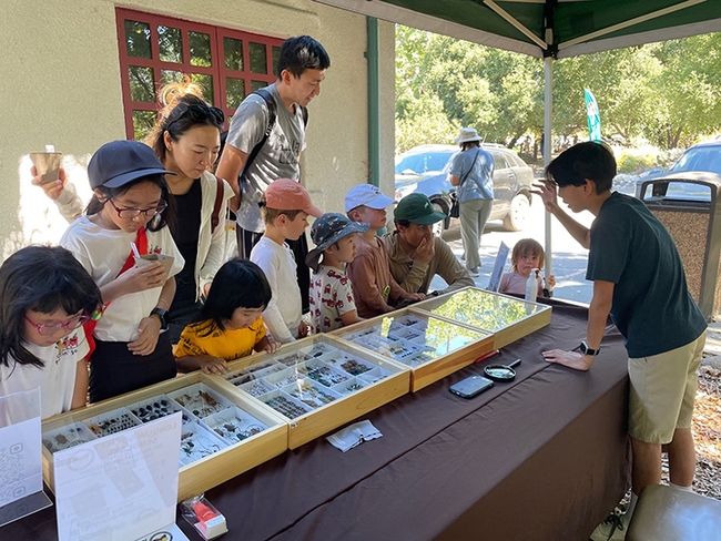 Connor Hsu (right) greets visitors, talks about insects, and answers questions at a community outreach program.