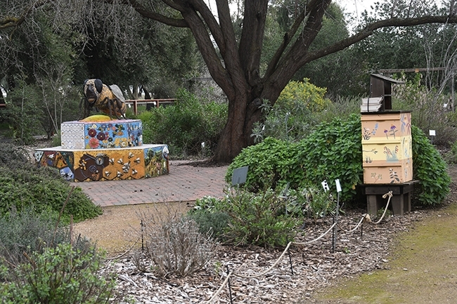 A ceramic-mosaic sculpture of a worker bee, the work of Donna Billick of Davis, anchors the garden. (Photo by Kathy Keatley Garvey)